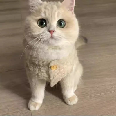 Chaleco Abrigador de Lana de Cordero para Gatos - Diseño Cálido e Adorable - Image 13
