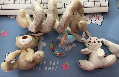 Juguetes Colgantes Suaves para Bebé - Sonajeros de Peluche para Cuna y Carrito - Image 13