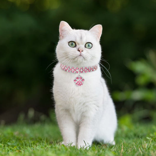 Collar de Diamantes para Mascotas - Joya Elástica Multicolor para Gatos y Perros - Image 26