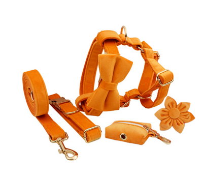 Collar de Terciopelo para Perros - Diseño Elegante y Cómodo - Image 19