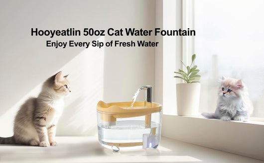 Fuente de Agua para Gatos y Perros 1500ml con Bomba Silenciosa - Image 12