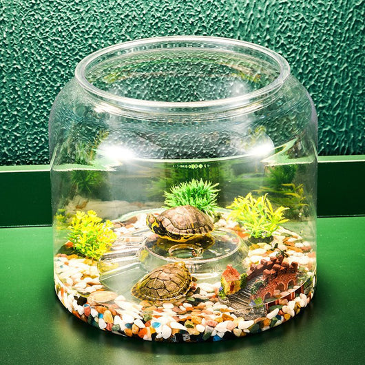 Acuario de Escritorio Ecológico con Alimentador Automático - Image 3