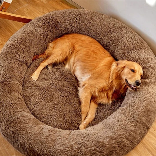 Cama Térmica Extraíble y Lavable para Perros Grandes