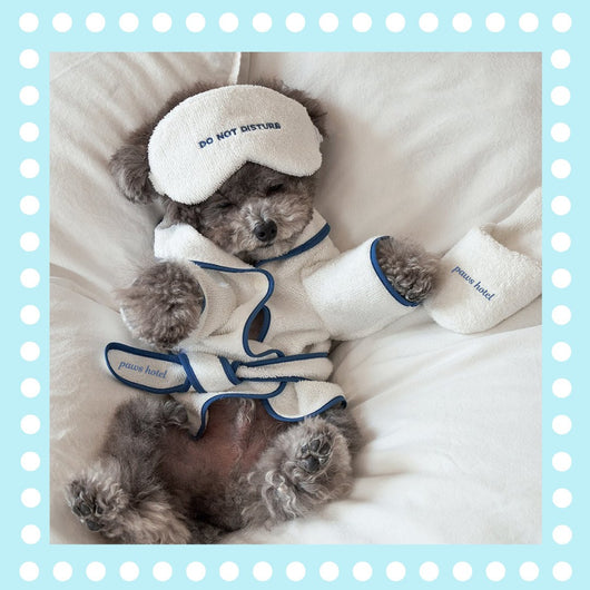 Bata de Baño para Mascotas - Albornoz Suave para Perros Bichón y Teddy - Image 8