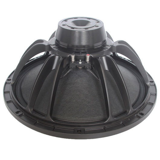Woofer Magnético Neodimio 15" RA15N251 - 500W Potencia Total - Image 6