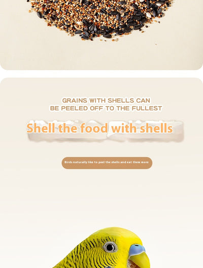Alimento Premium para Loros y Aves Exóticas - Fórmula Xuanfeng - Image 8
