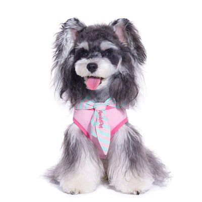 Capa y Bufanda Térmica para Perros y Gatos - Image 3