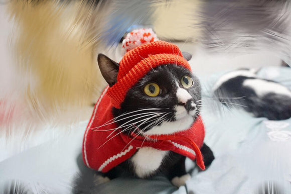 Gorro Navideño Rojo - Colección Festiva Año Nuevo