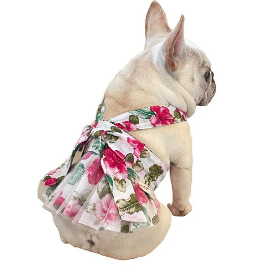 Sombrero Cubo de Algodón Ultra Fino para Mascotas - Gorra Princesa Versátil para Dama - Image 10