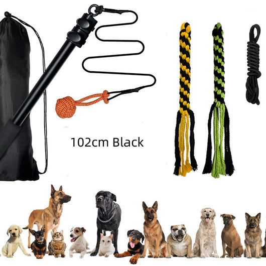 Vara Extensible de Adiestramiento para Perros con Diseño Divertido - Image 6