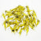 Camarón Luminoso con Rayas Amarillas y Anzuelo