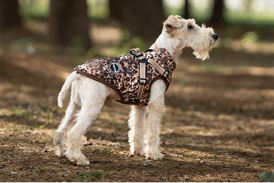 Arnés de Tracción para Perros con Cobertura de Pecho y Espalda - Image 11