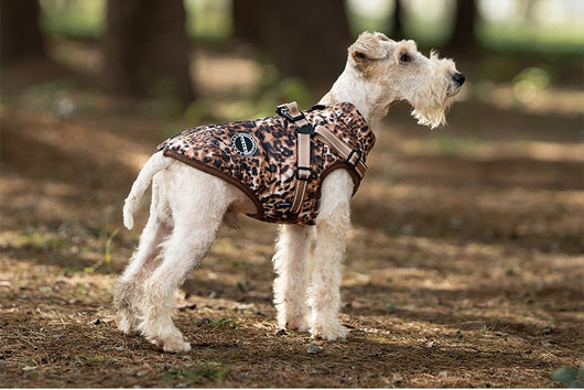Arnés de Tracción para Perros con Cobertura de Pecho y Espalda - Image 11