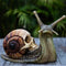 Escultura de Caparazón de Caracol Gótica - Decoración Artesanal para Hogar y Jardín