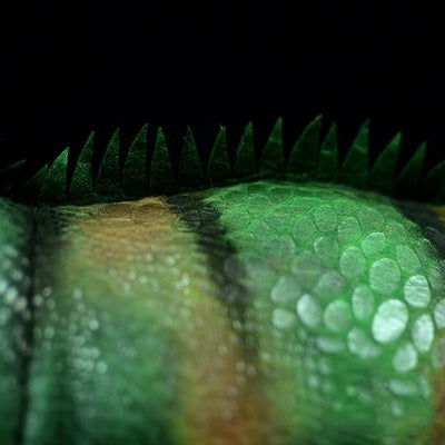 Peluche Iguana Verde Realista - Juguete Suave y Adorable - Image 9