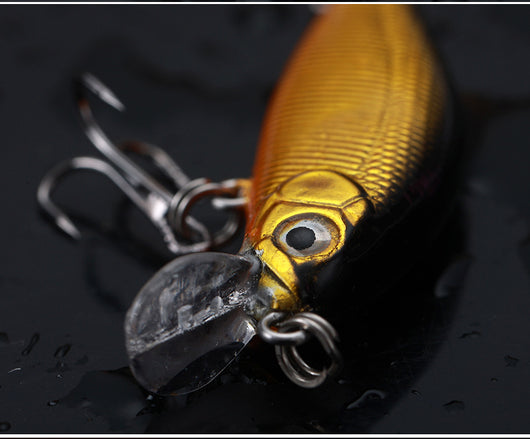 Carnada Viva para Pesca de Agua Dulce - Cucaracha Bass - Image 12