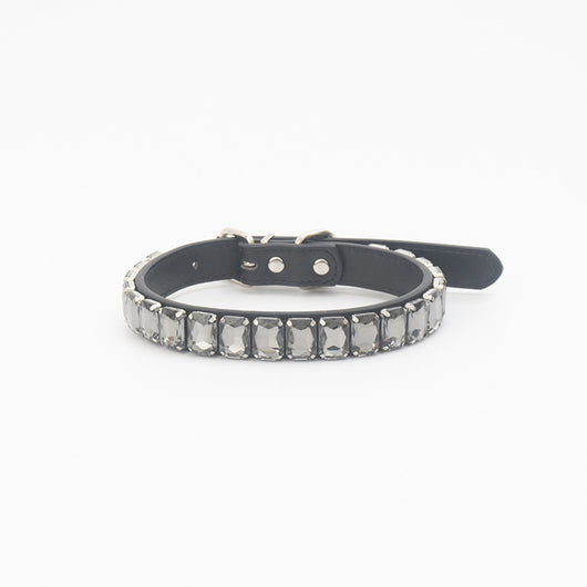 Collar de Poliuretano para Perro y Gato - Image 17