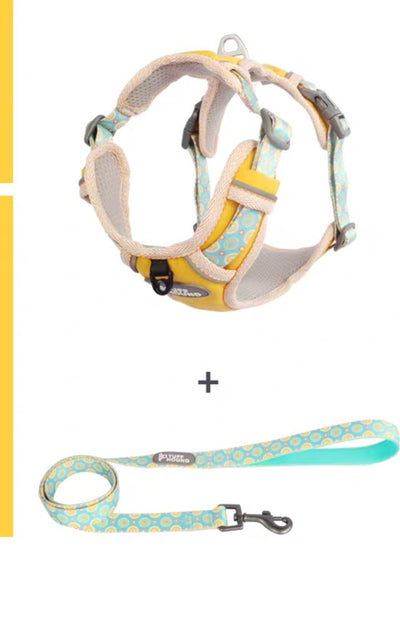 Arnés de Pecho para Perro con Correa de Paseo - Image 11