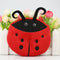 Beetle Rojo