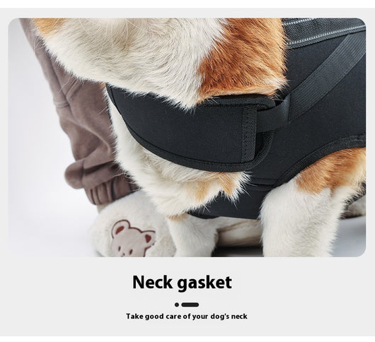 Mochila de Transporte para Perros Medianos y Grandes - Image 15