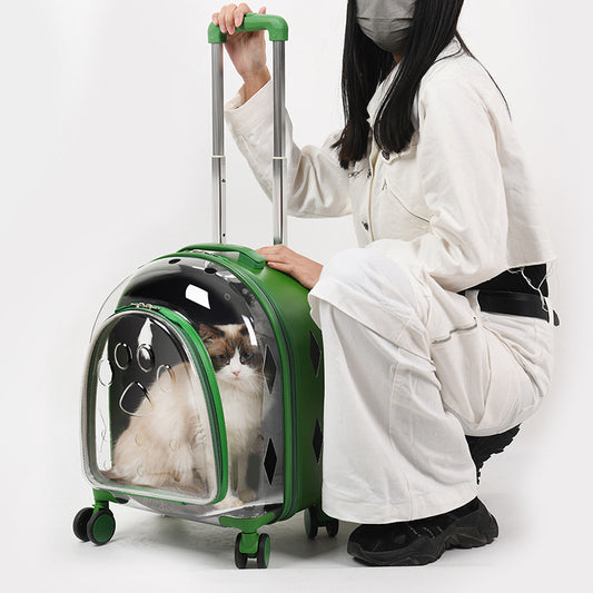 Mochila Transportadora Panorámica para Mascotas con Ventana Transparente