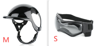 Casco de Seguridad para Mascotas en Moto - Protección Divertida para Perros y Gatos - Image 7