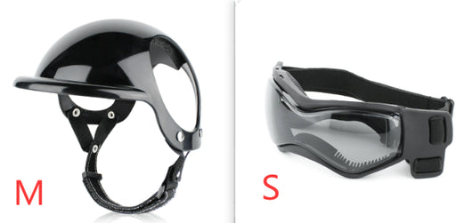 Casco de Seguridad para Mascotas en Moto - Protección Divertida para Perros y Gatos - Image 7