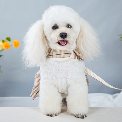 Arnés de Pecho con Cuerda de Sujeción para Mascotas - Image 17