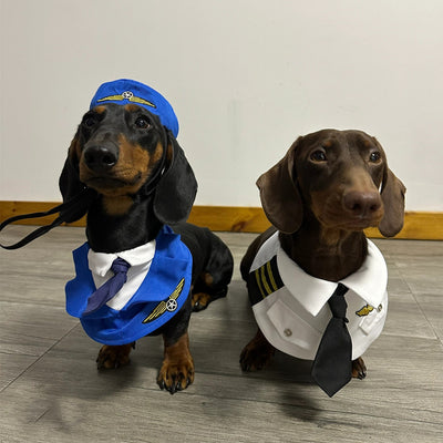 Disfraz Halloween para Perros Salchicha - Traje Divertido y Cómodo - Image 9