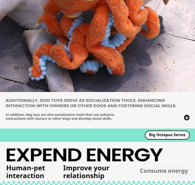 Juguete Interactivo de Tracción para Perros Medianos y Grandes - Image 11