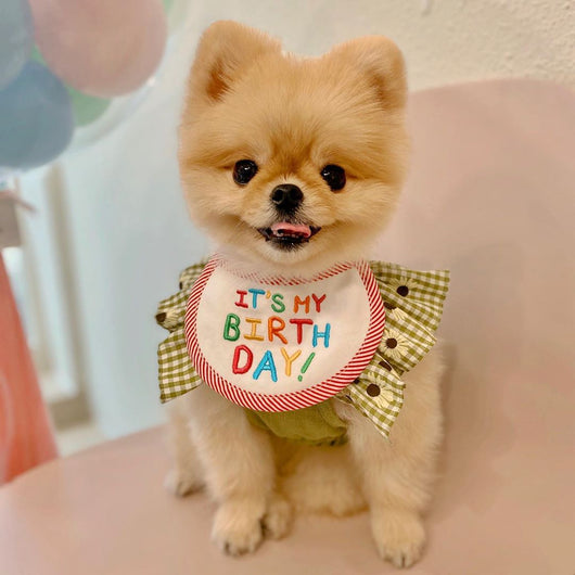 Babero Bordado para Mascotas - Pañuelo Absorbente para Perros y Gatos - Image 13