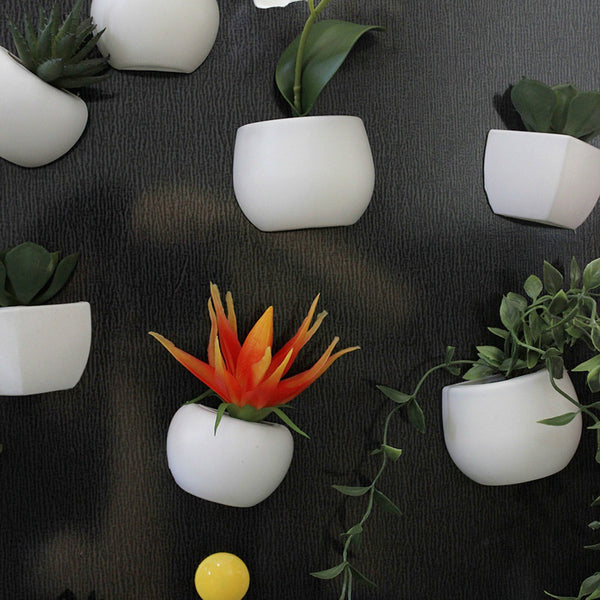 Imanes Decorativos de Suculentas para Refrigerador - Mini Plantas Magnéticas