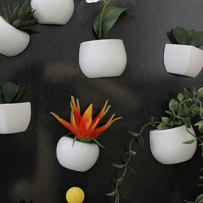 Imanes Decorativos de Suculentas para Refrigerador - Mini Plantas Magnéticas - Image 2