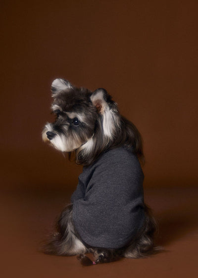 Camisa Interior Teddy Schnauzer - Diseño Elegante con Cuello de Dos Patas - Image 14