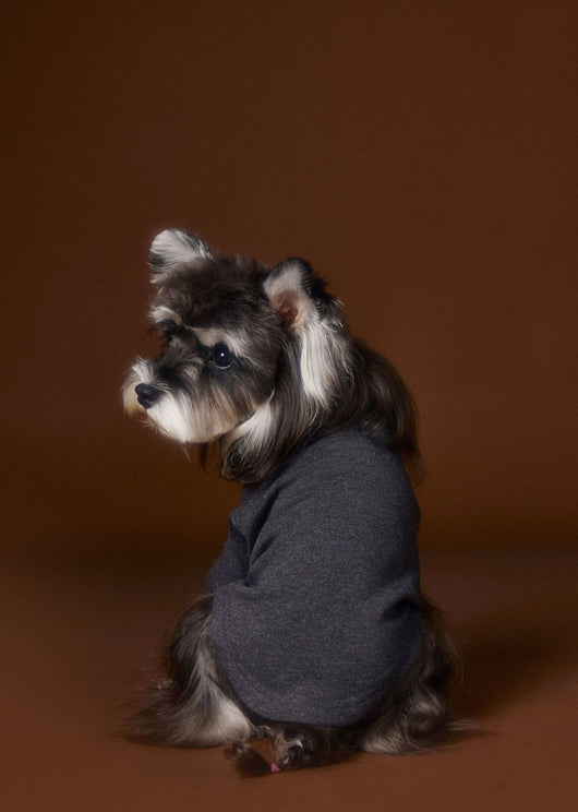 Camisa Interior Teddy Schnauzer - Diseño Elegante con Cuello de Dos Patas - Image 14