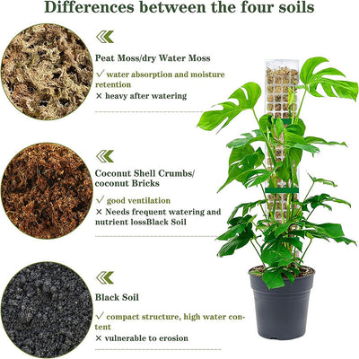Soporte de Musgo Plástico para Plantas Trepadoras y Enredaderas - Image 16