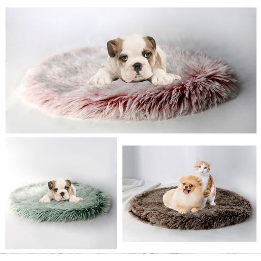 Cama Redonda Acogedora para Mascotas con Manta Térmica - Image 2