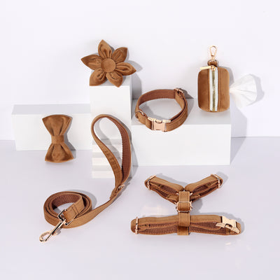 Conjunto de Collar y Correa de Terciopelo Suave para Mascotas - Image 33