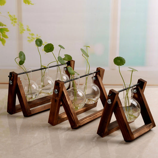 Maceta Hidropónica de Vidrio con Soporte de Madera Colgante