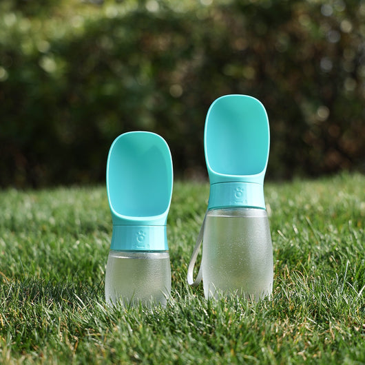 Bebedero Portátil para Mascotas - Vaso Ligero para Viajes