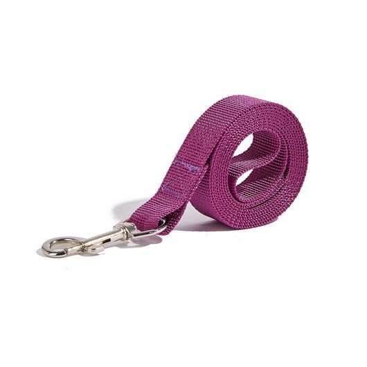 Correa Portátil con Asidero para Perros - Collar de Paseo Seguro - Image 14
