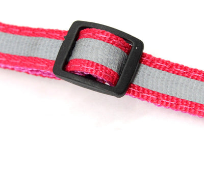 Collar Reflectante de Nylon para Perros y Gatos - Image 15