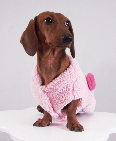 Chaleco de Lana para Mascotas - Abrigo Otoño e Invierno para Perros y Gatos - Image 12