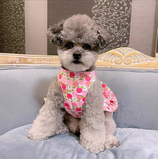 Falda de Algodón para Perro Azul y Blanco con Correa de Mano