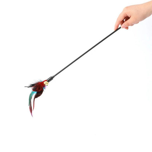 Three cat teaser wands with black sticks, colorful feathers in purple, red, and teal, and small gold bells. - Image 5