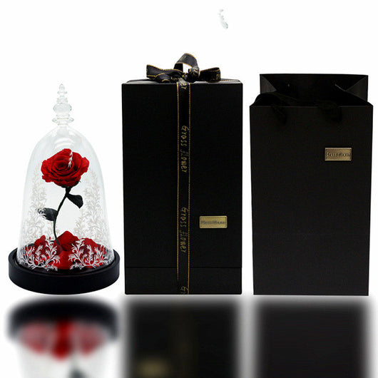 Rosa Preservada en Campana de Cristal - Regalo Creativo Eterno - Image 16