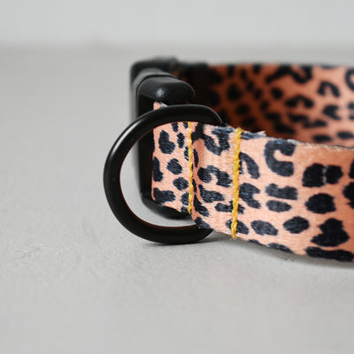Collar para Perro Étnico Impreso con Cinta Premium - Image 22