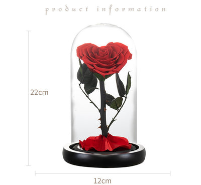 Corazón de Flores Preservadas para San Valentín - Regalo Eterno - Image 6