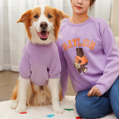 Large dog wearing a teal fleece-lined sweatshirt with 'BAYLOR' text and a bear graphic on the back. - Image 24