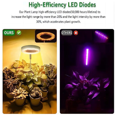 Luz LED de Crecimiento para Plantas Suculentas y Bonsái con Temporizador y Atenuador - Image 2